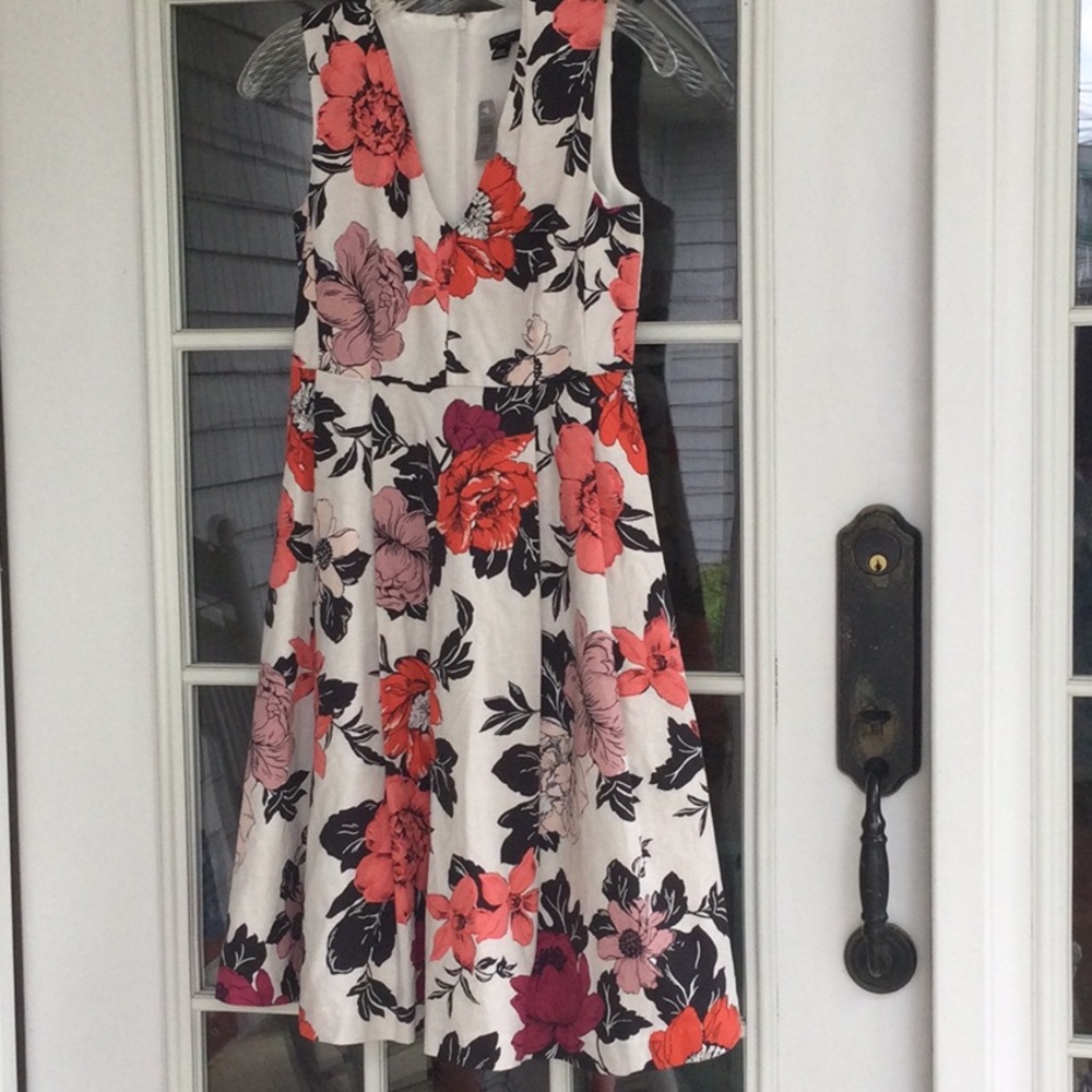 NWT Ann Taylor Petite Floral dress